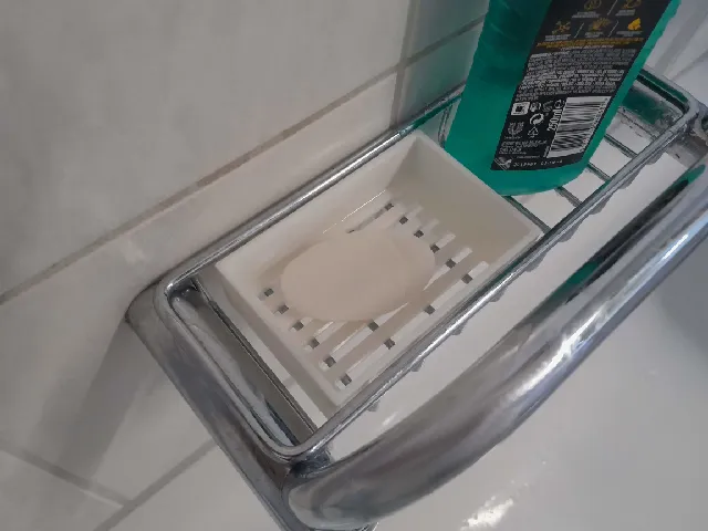 Simple soap dish for shower