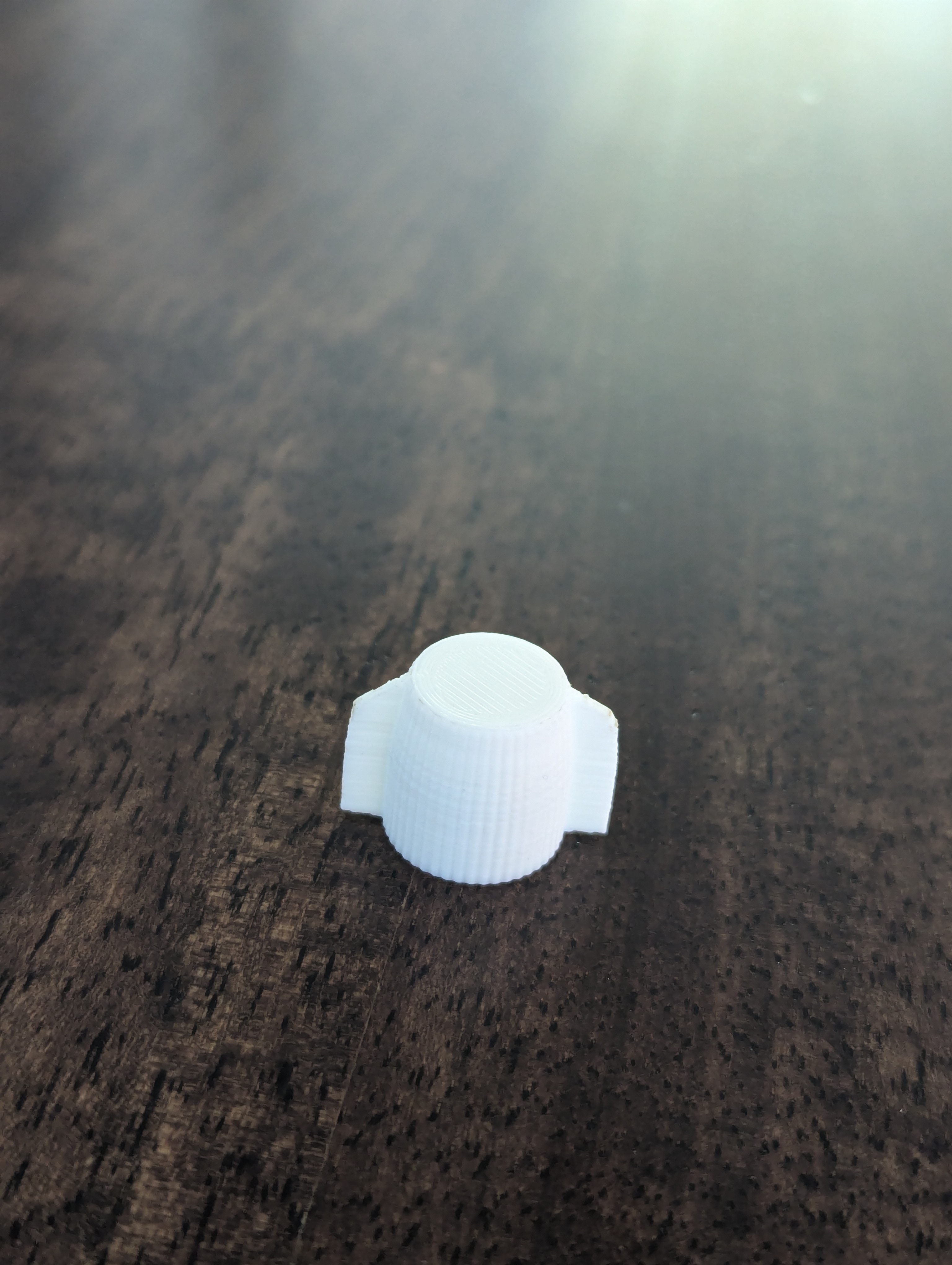 Easy Twist Toothpaste Cap