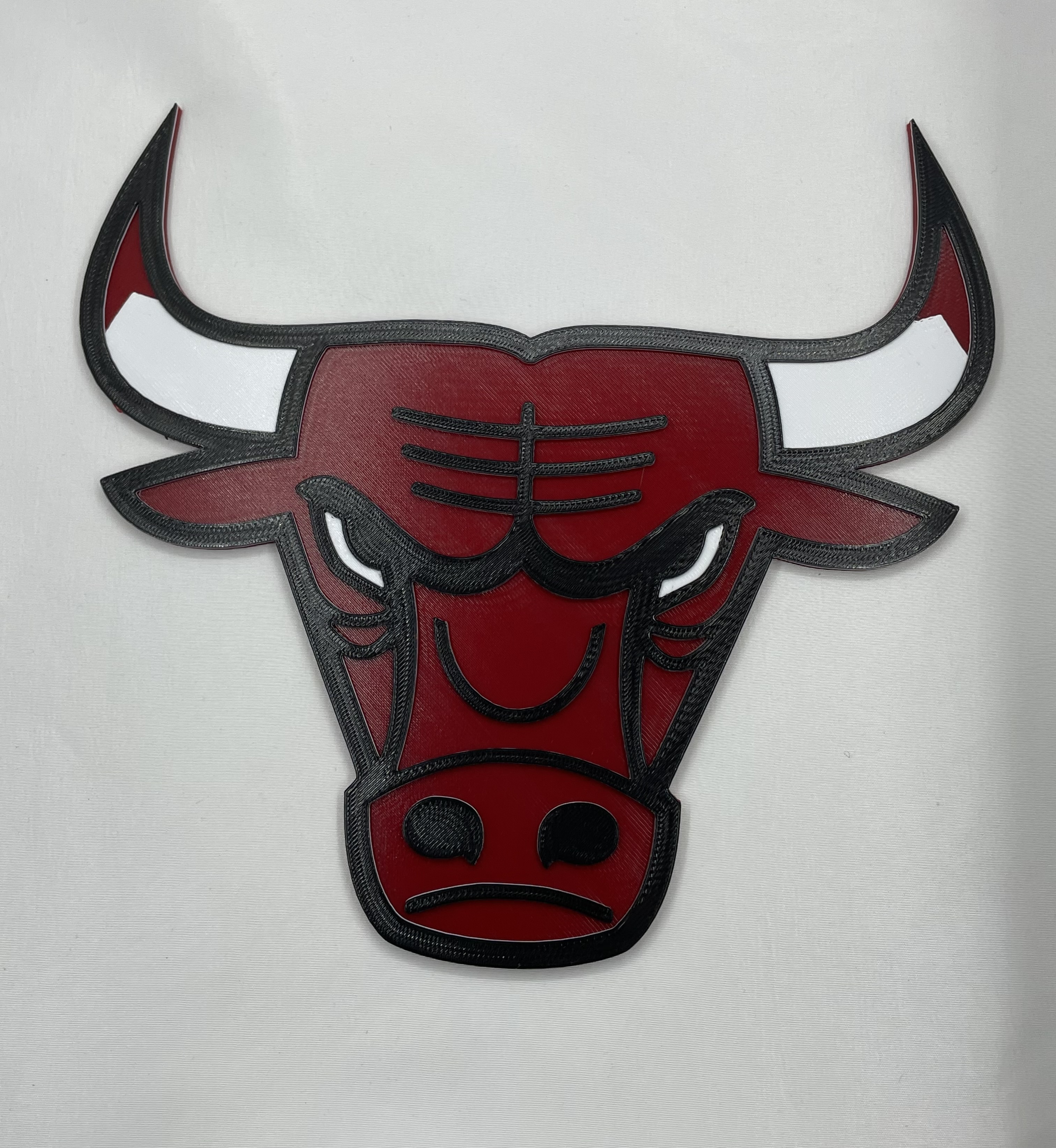 Chicago Bulls Logo and Keychain