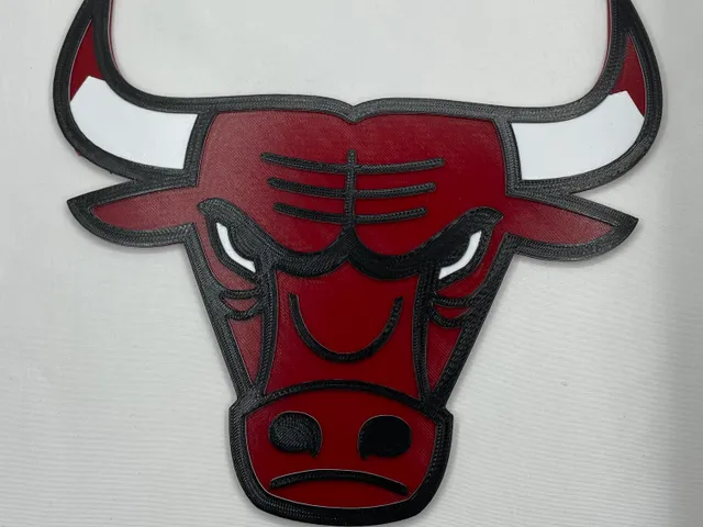 Chicago Bulls Logo and Keychain