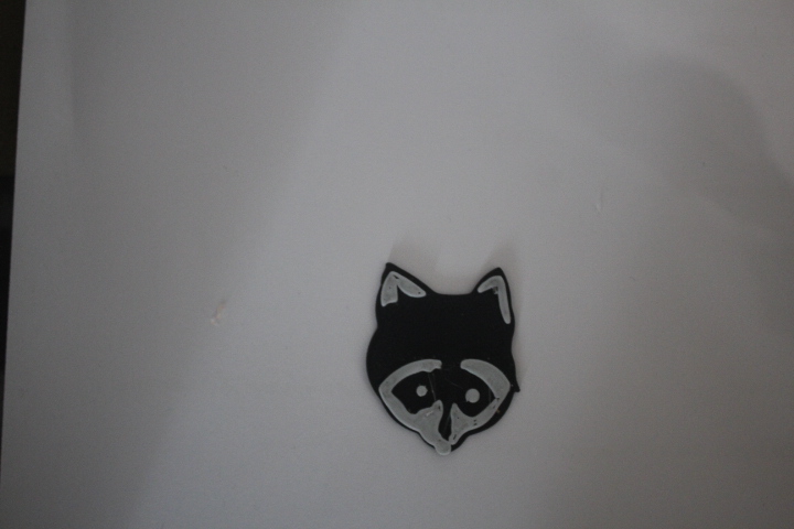 Raccoon Face