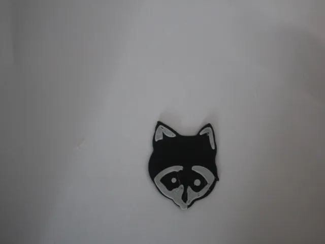 Raccoon Face