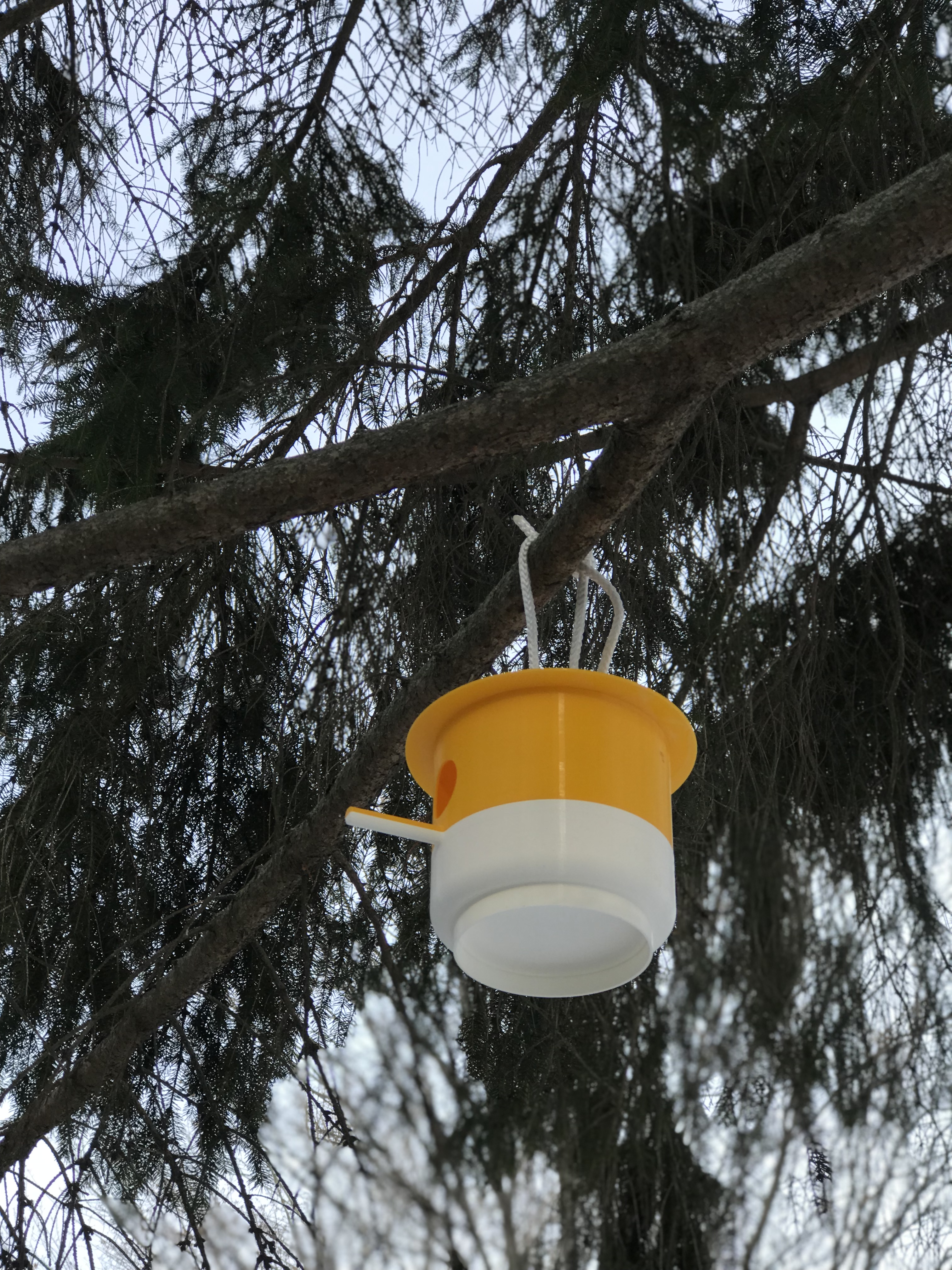 Birdhouse (swallows) — thumbnail 6
