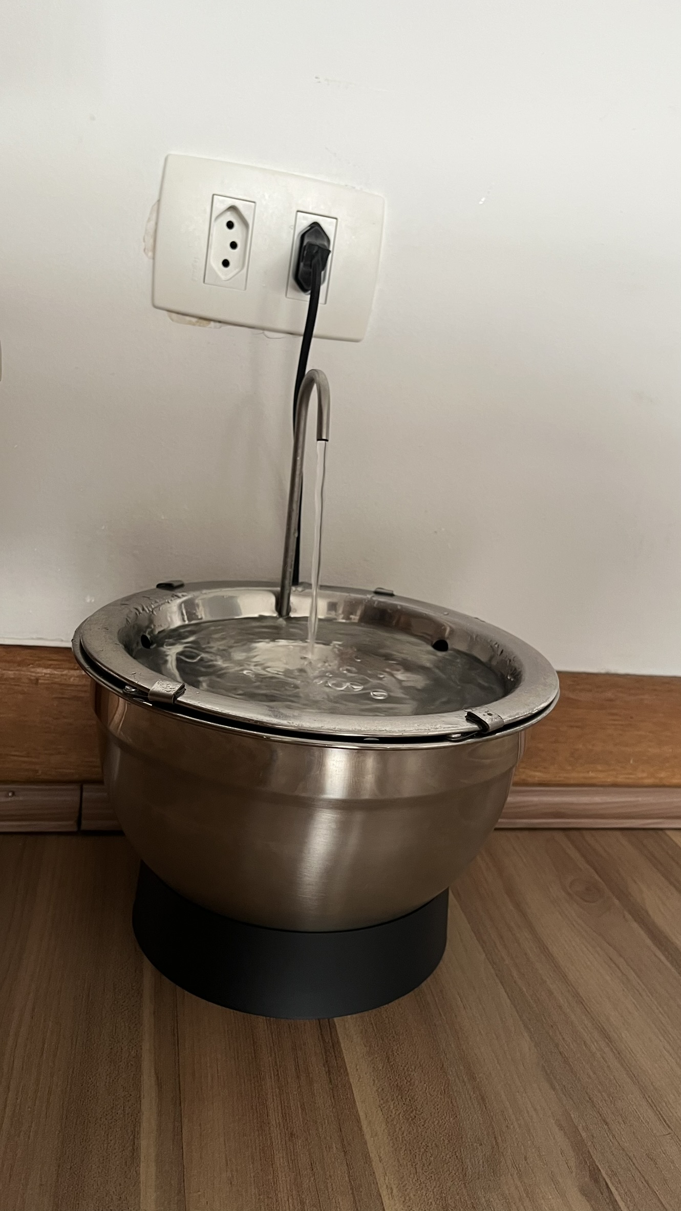 Bebedouro Fonte Inox da Gato é Vida