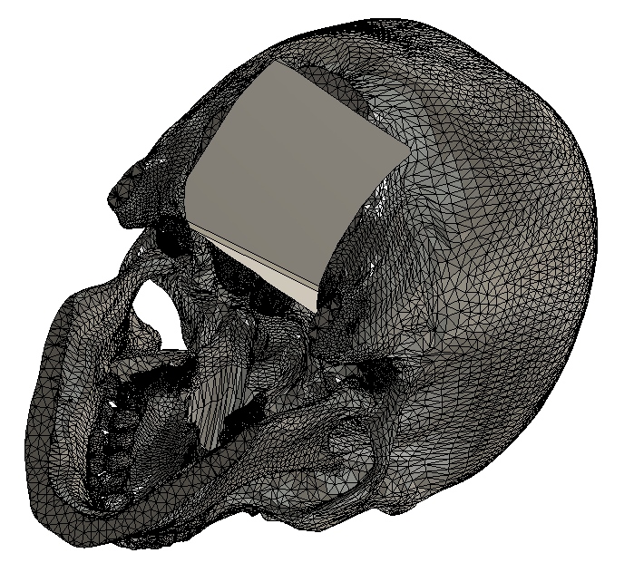 Skull Helmet Holder