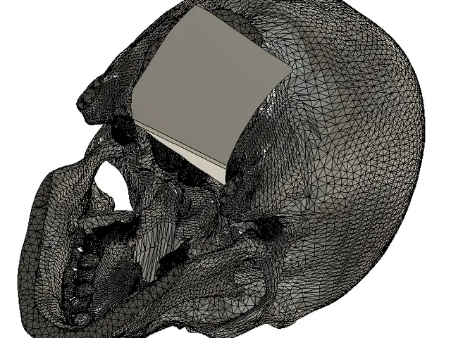 Skull Helmet Holder