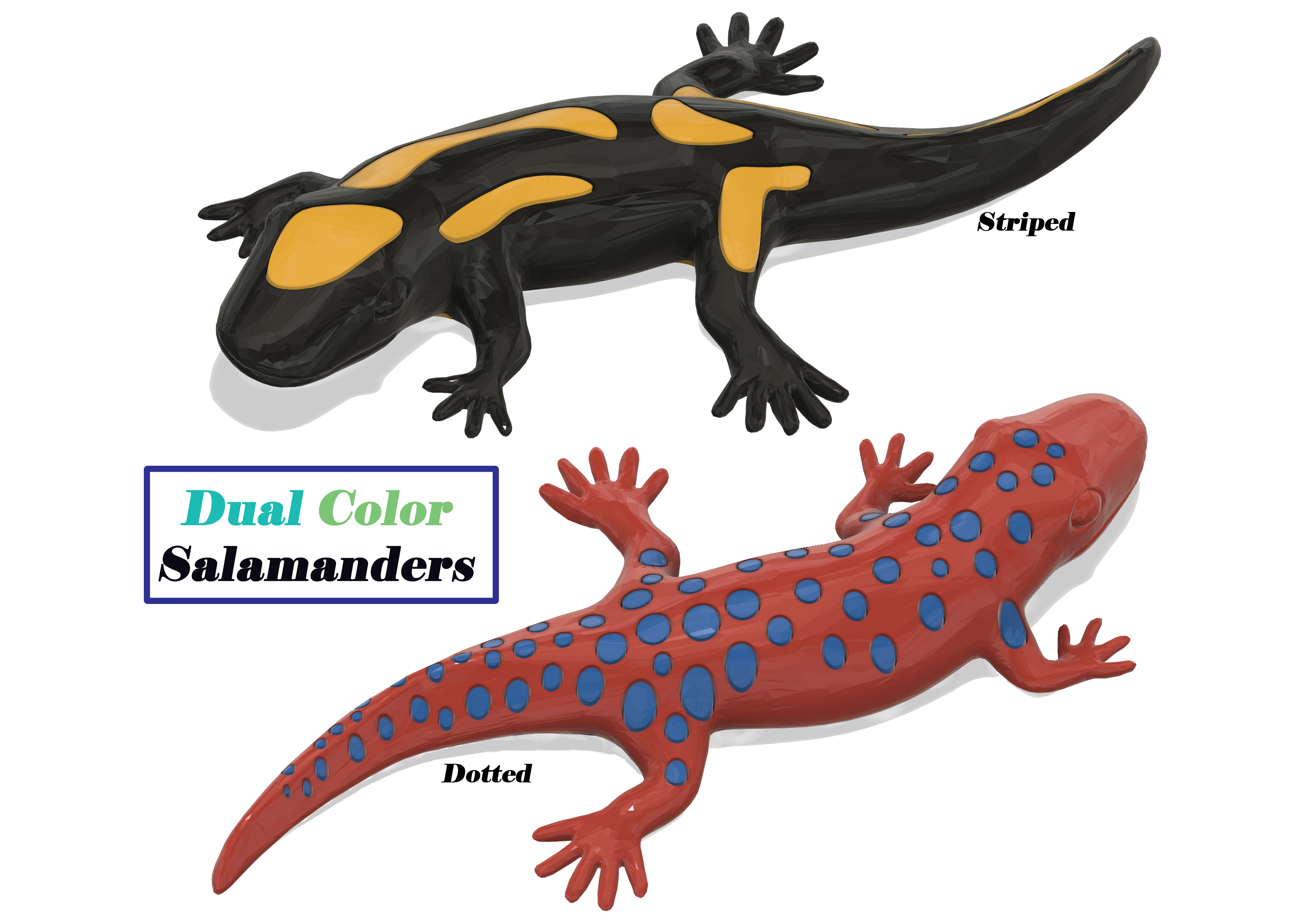 Single Extruder - Dual Color - Salamanders (fusion360)