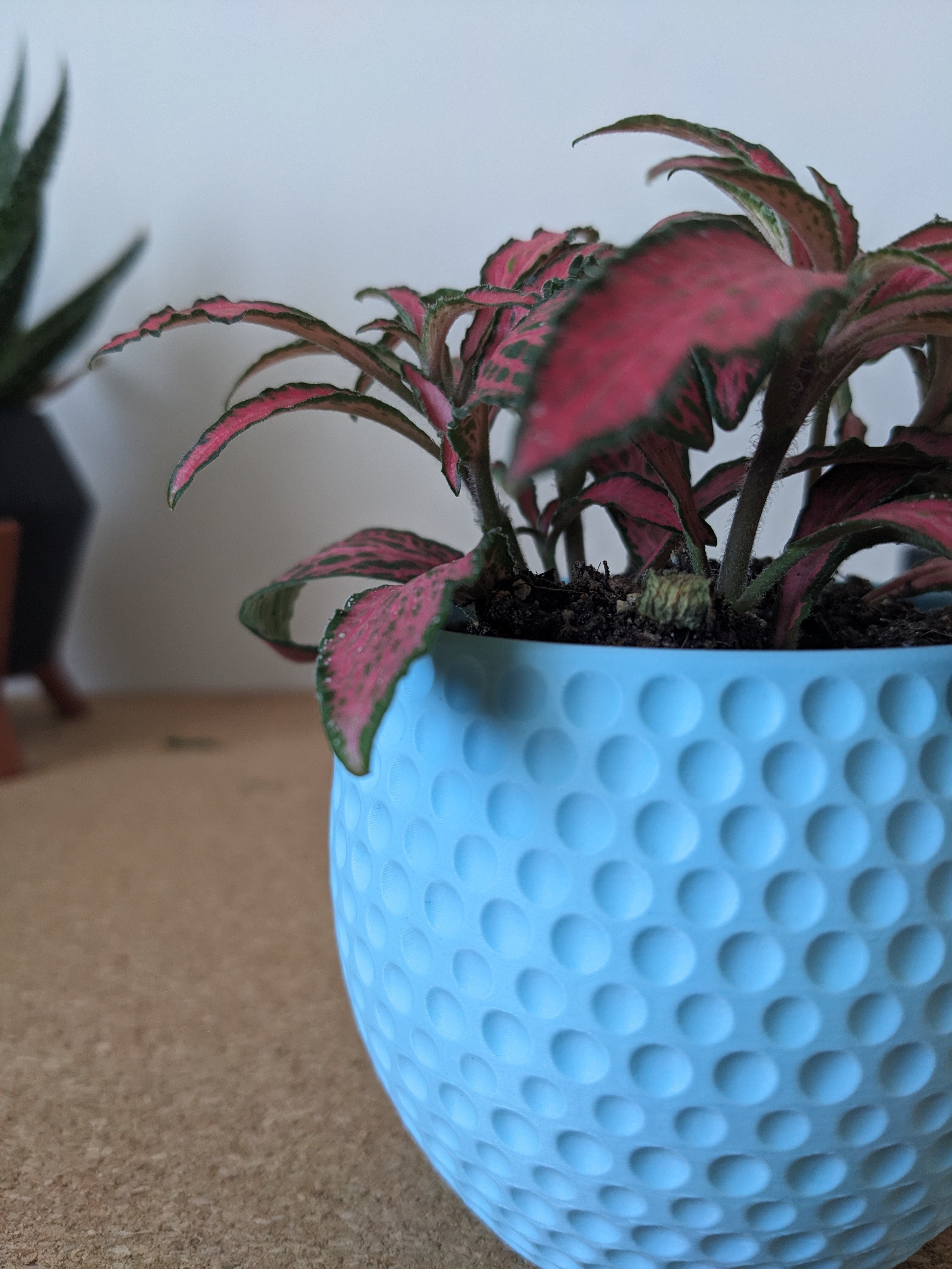Tiny Dotted Succulent Planter — thumbnail 2