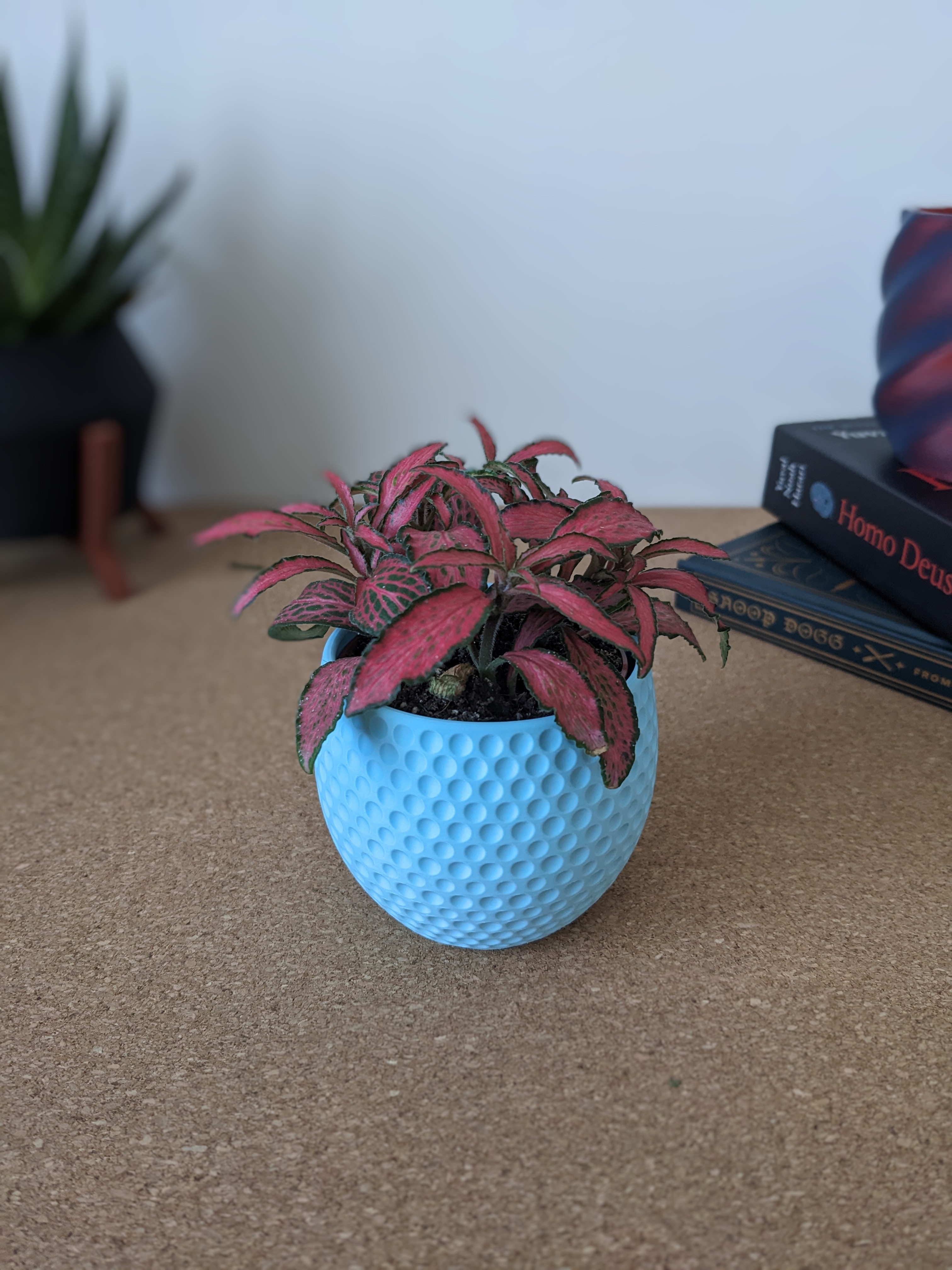 Tiny Dotted Succulent Planter — thumbnail 3