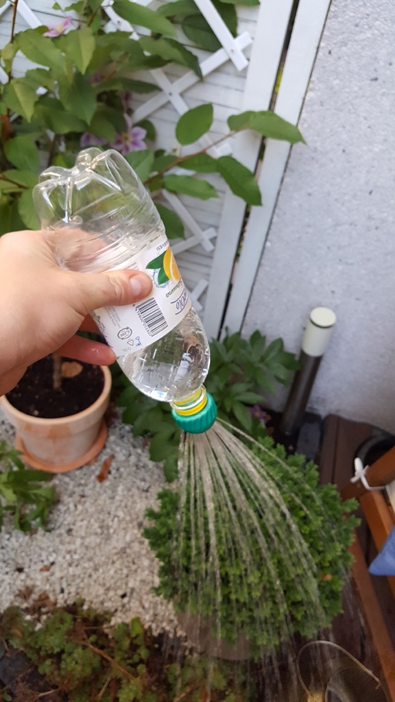 Soda bottle watering cap