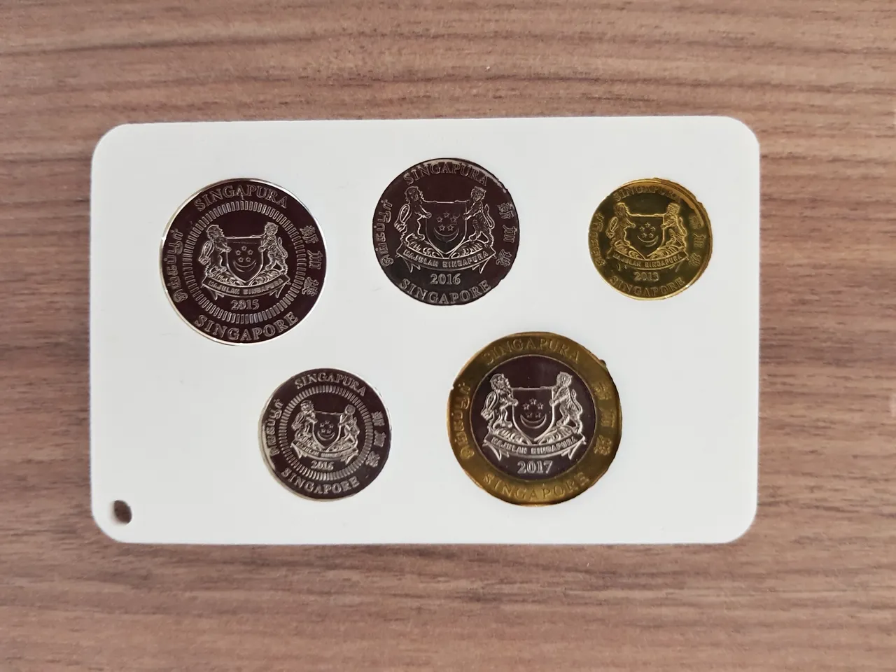 EG SGD Coin Holder by Saad Caffeine | Download free STL model |  Printables.com