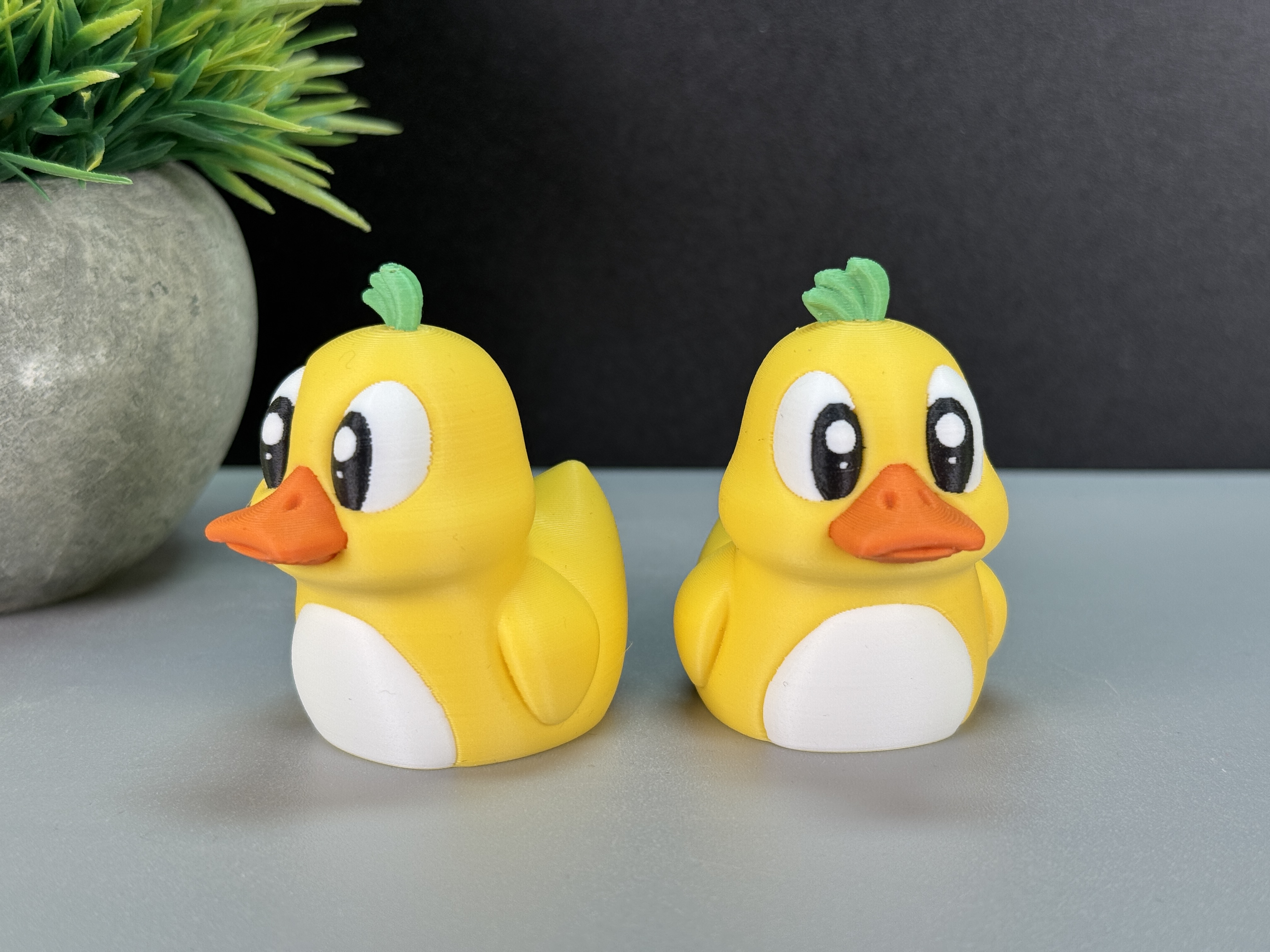 Cute Duck