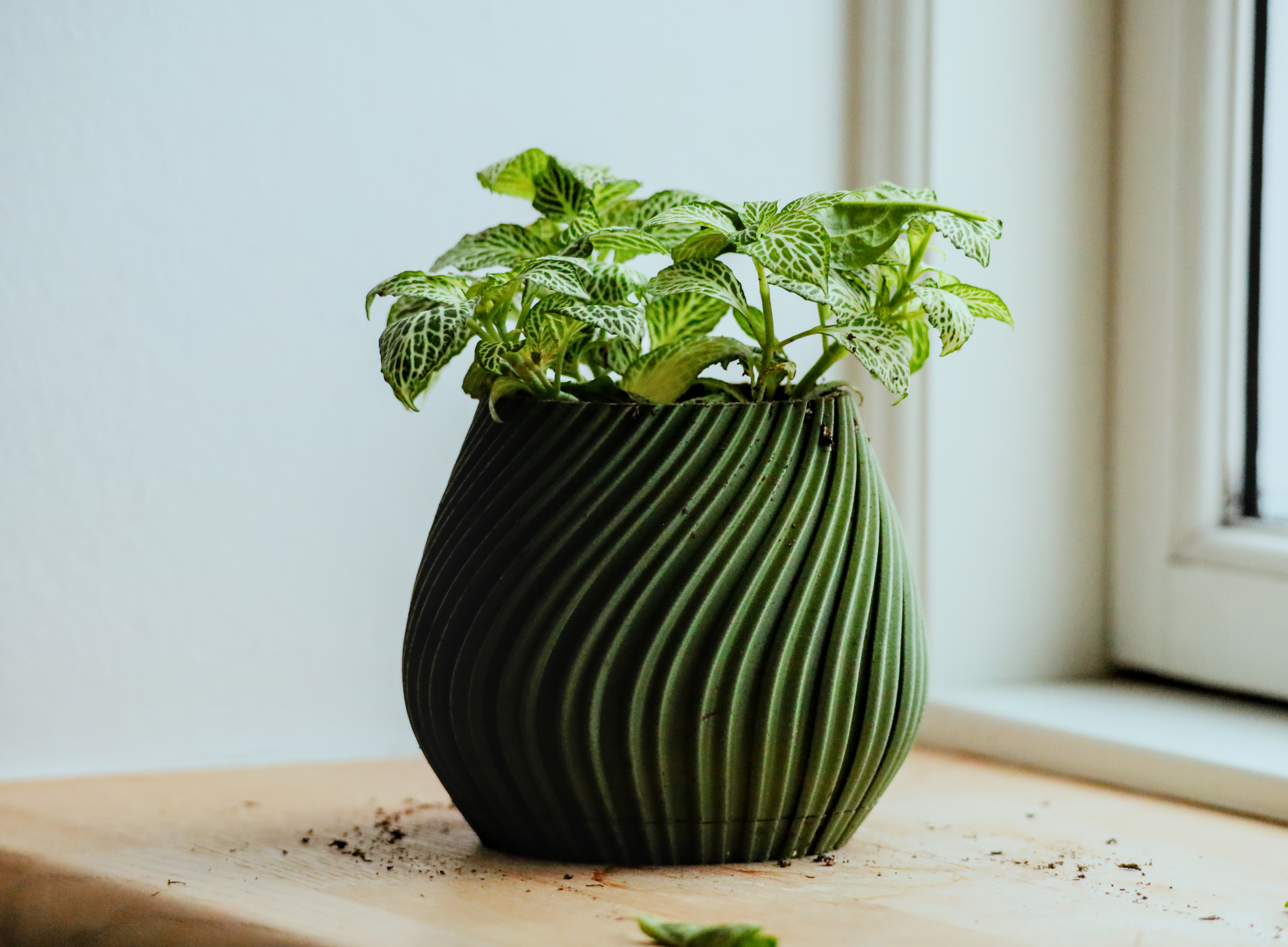 Pot 17