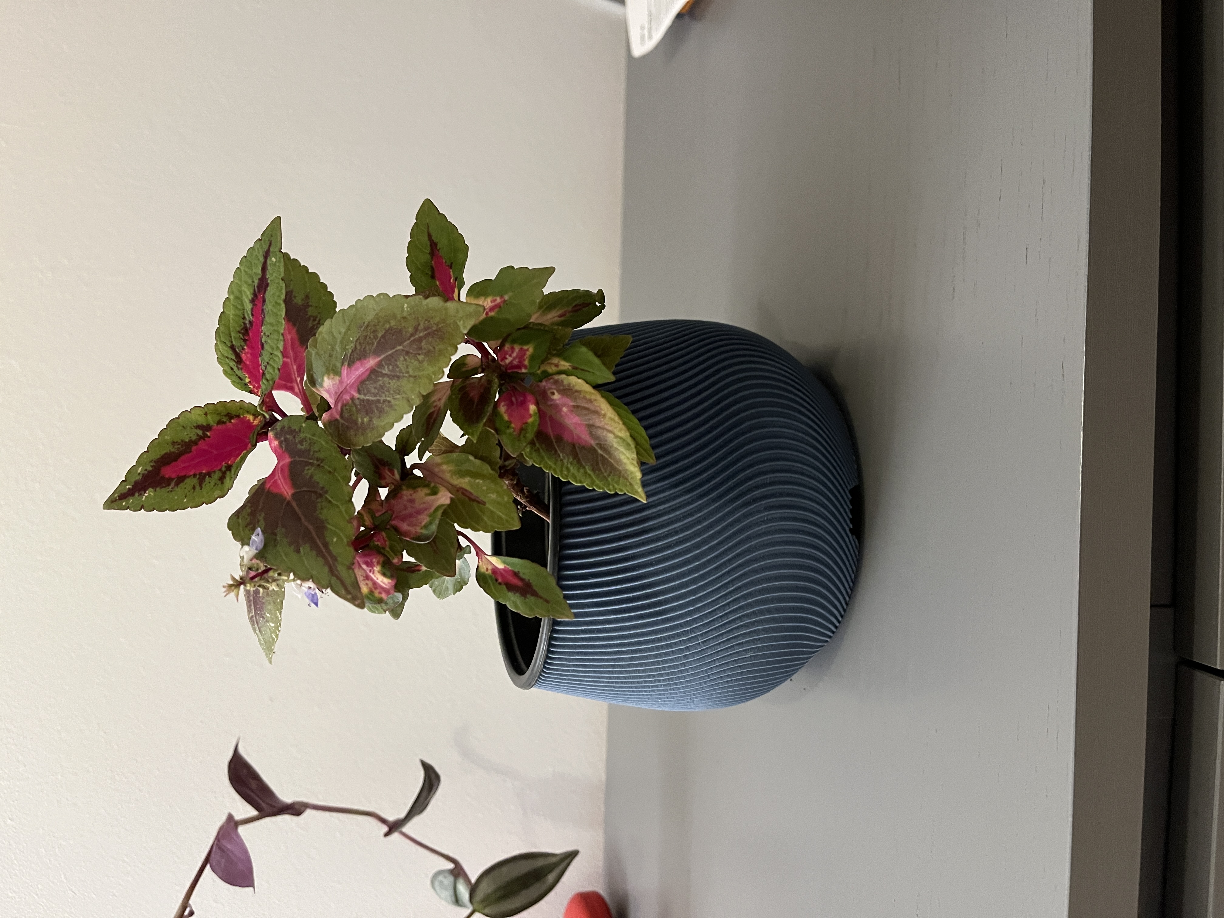 Flowerpot