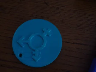 trans sign by rileyprints | Download free STL model | Printables.com