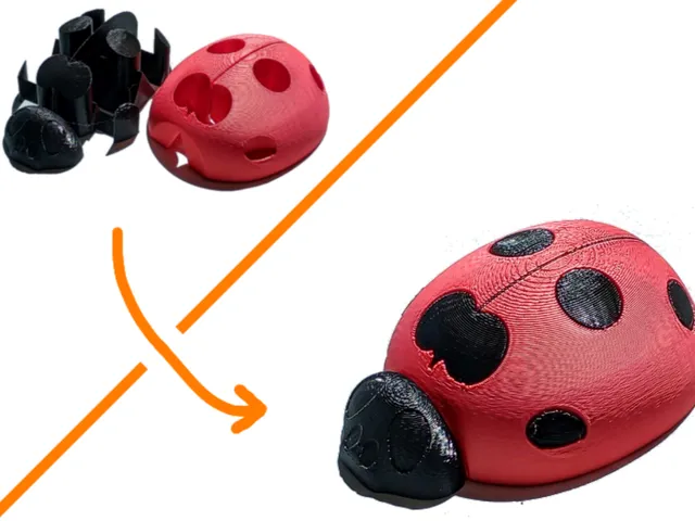Single Extruder - Dual Color - Lady Bug