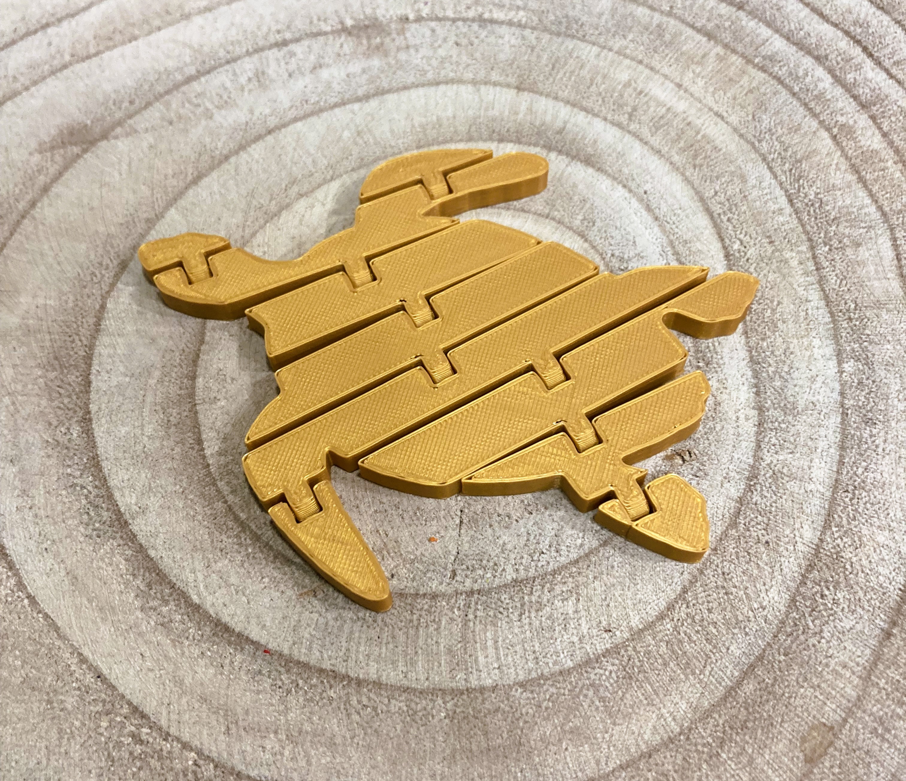 Articulated turtle / Tortuga articulada