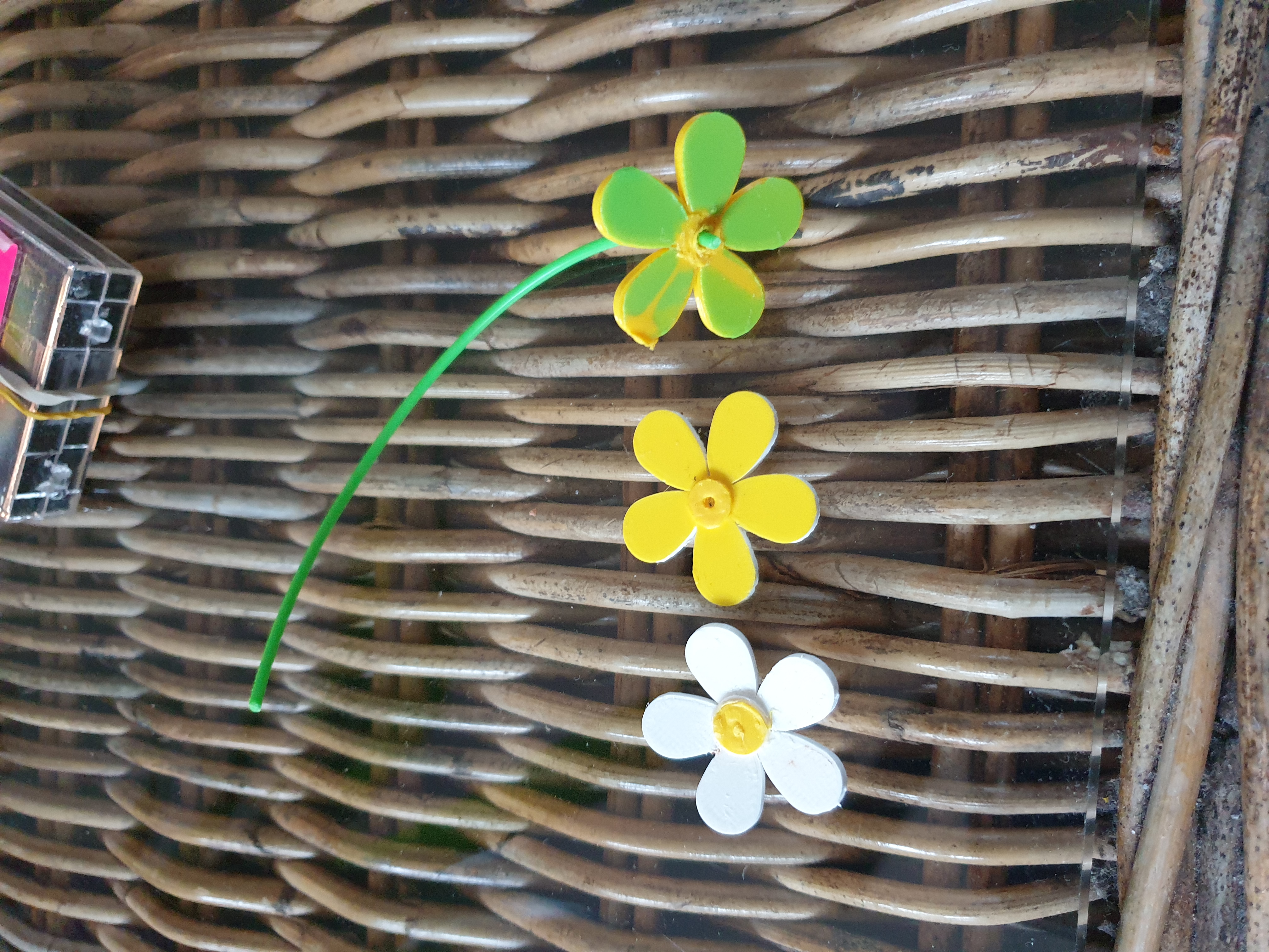 flower simple buttercup