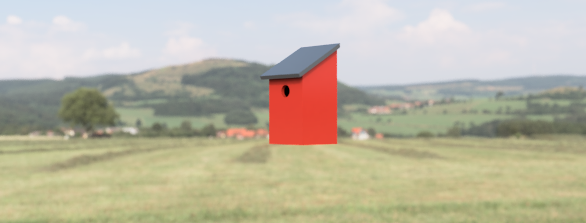 Bird House for Bluebird