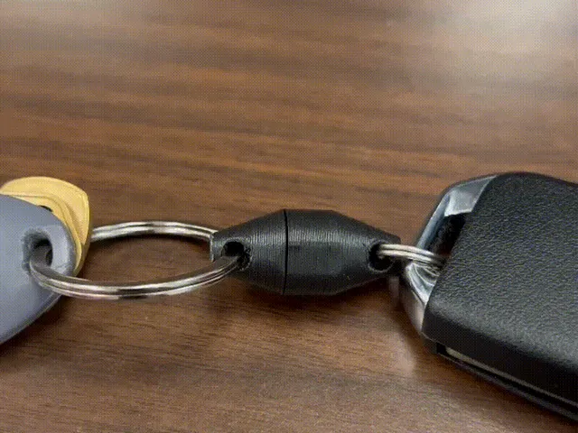 Pop-lock&Twist Keyring