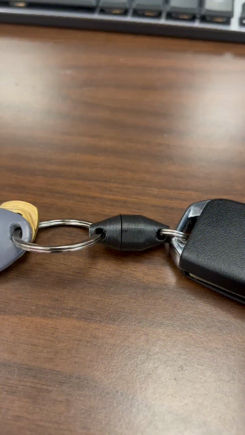 Pop-lock&Twist Keyring