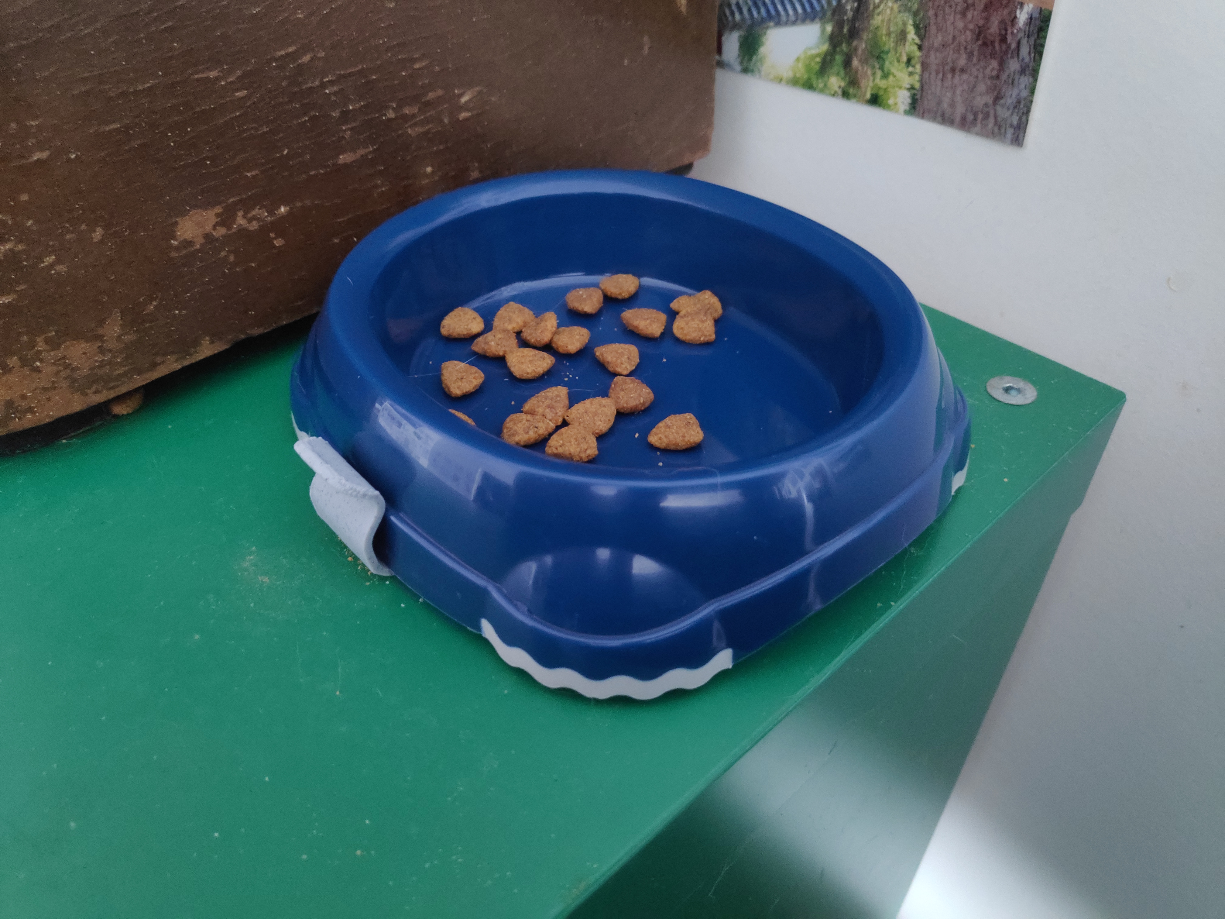 Bowl fixture — miniatura 2