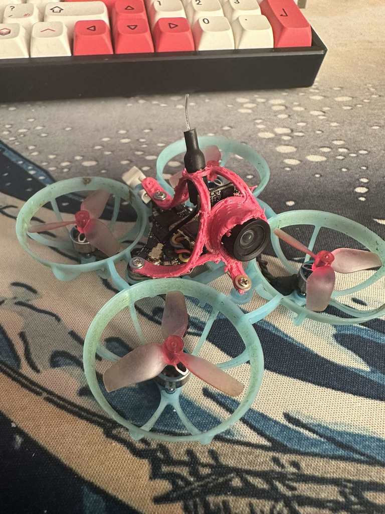 Whoop Canopy (low angle)