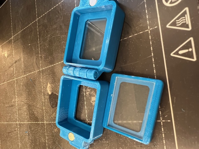 Earplug carrying case with window