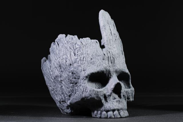 Forest Skull (Pre Supported) — miniatura 2
