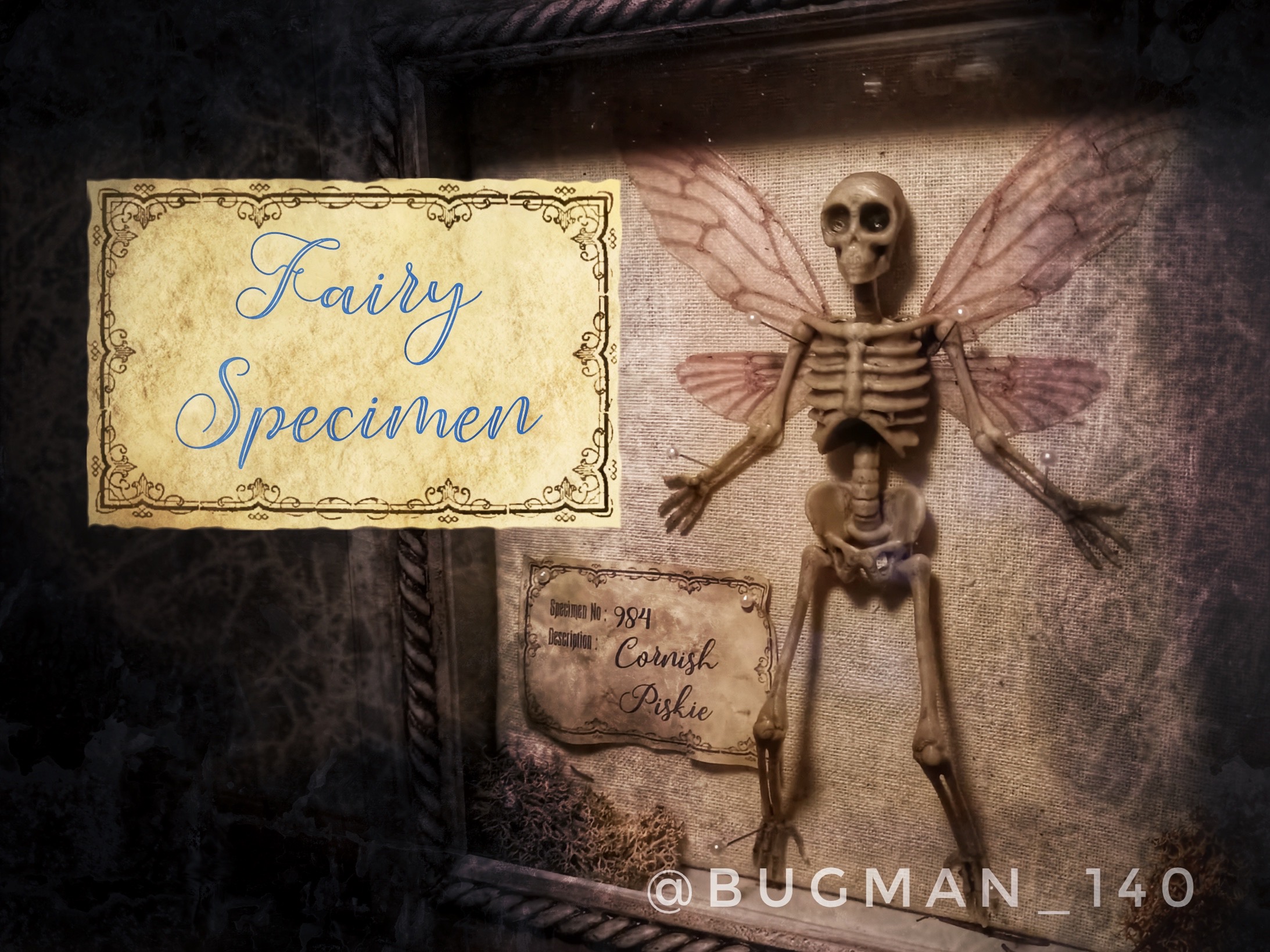 Fairy Specimen