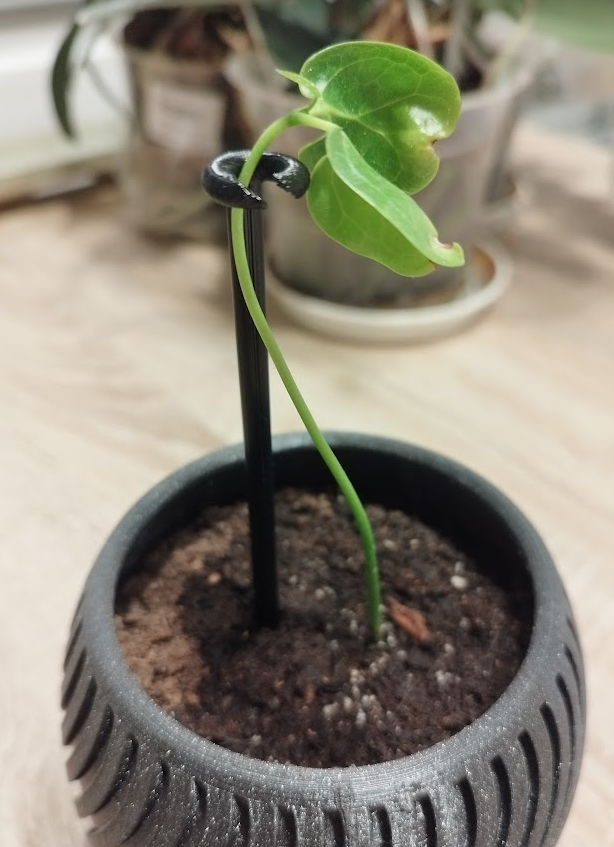 Flover support