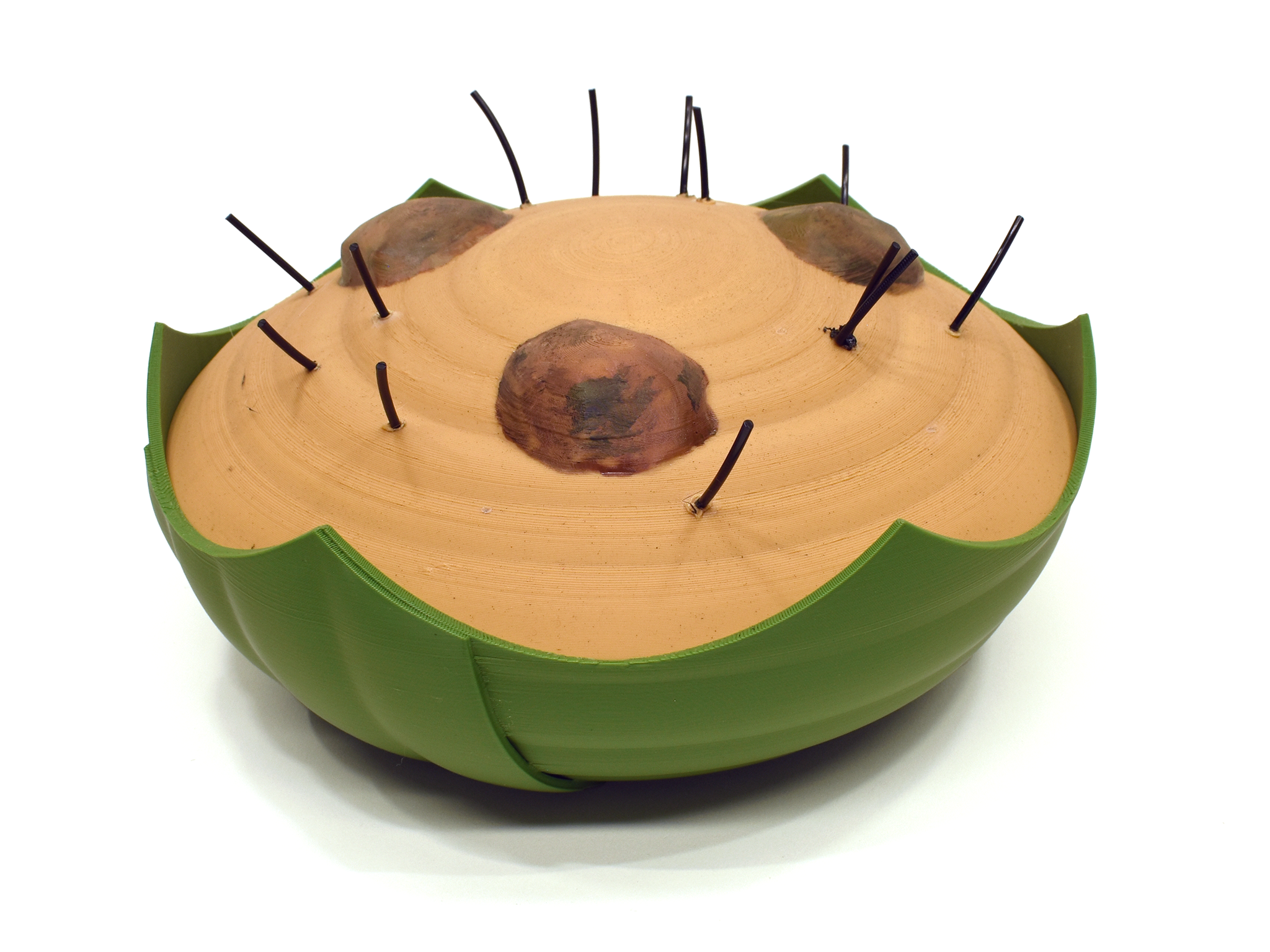 Bowl of Poop - Cult  of the Lamb