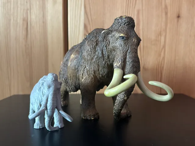 Mammoth scanned with revopoint POP3Plus