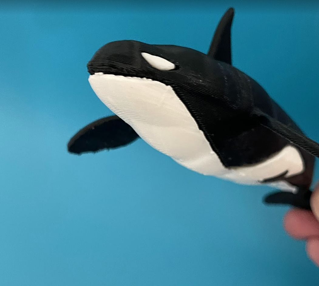 Single Extruder - Dual Color - Killer Whale — miniatura 4