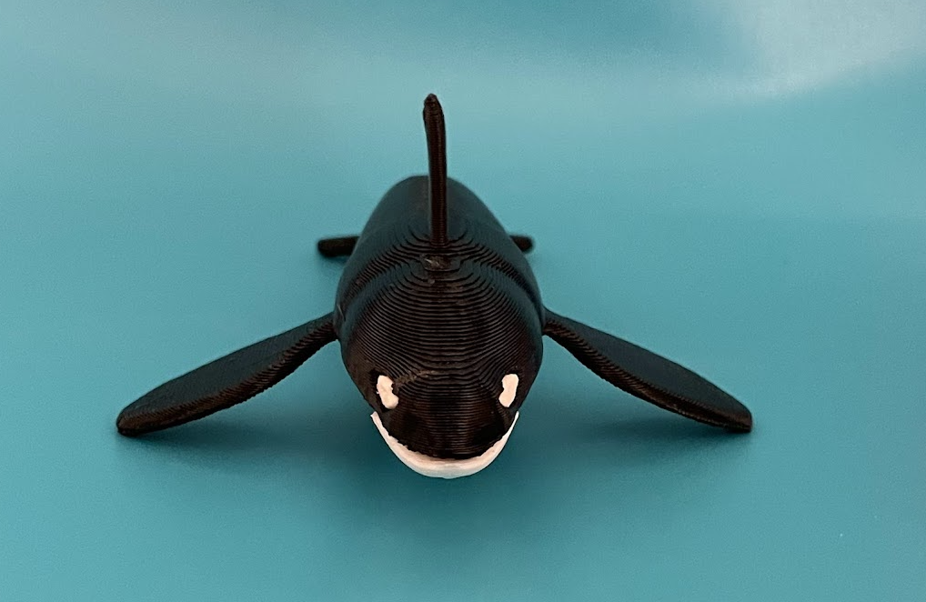 Single Extruder - Dual Color - Killer Whale — miniatura 2