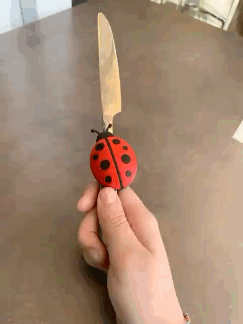 Ladybug Magnet