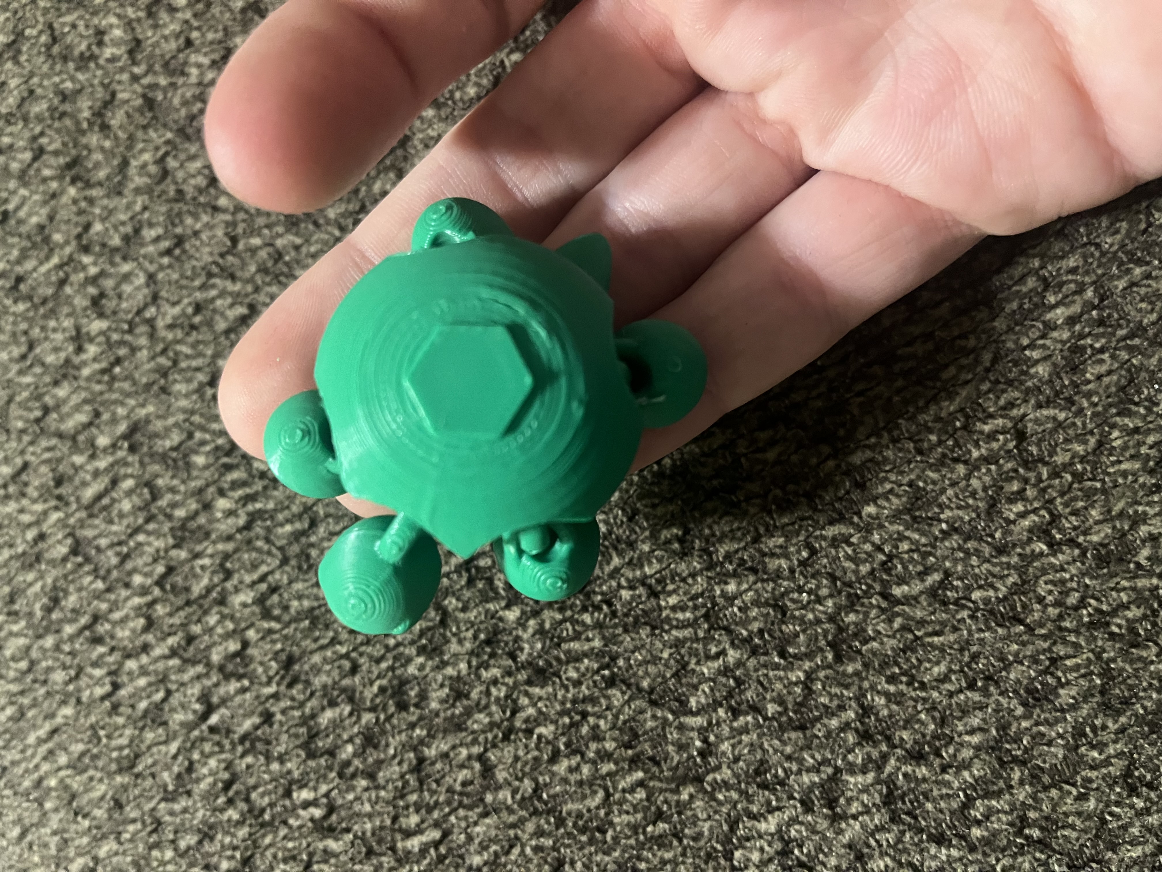Miniatura 4 do modelo 3D Cute turtle flexi