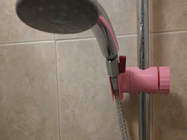 Shower holder
