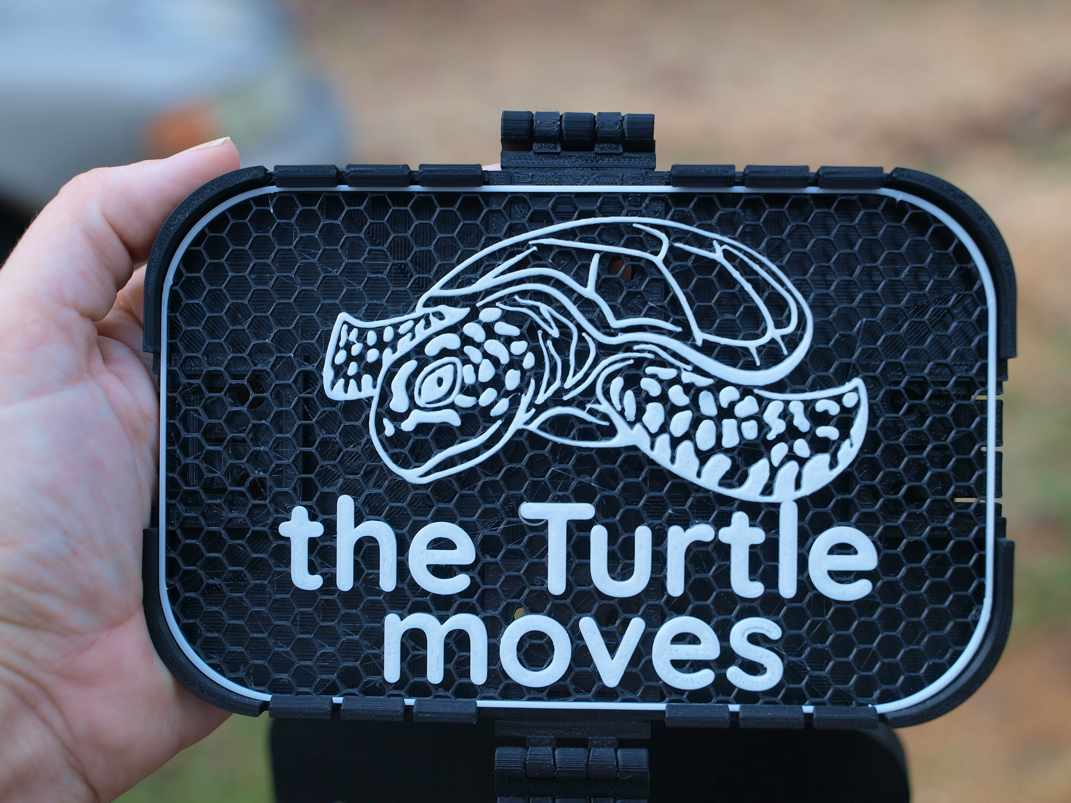 "the Turtle Moves" sign