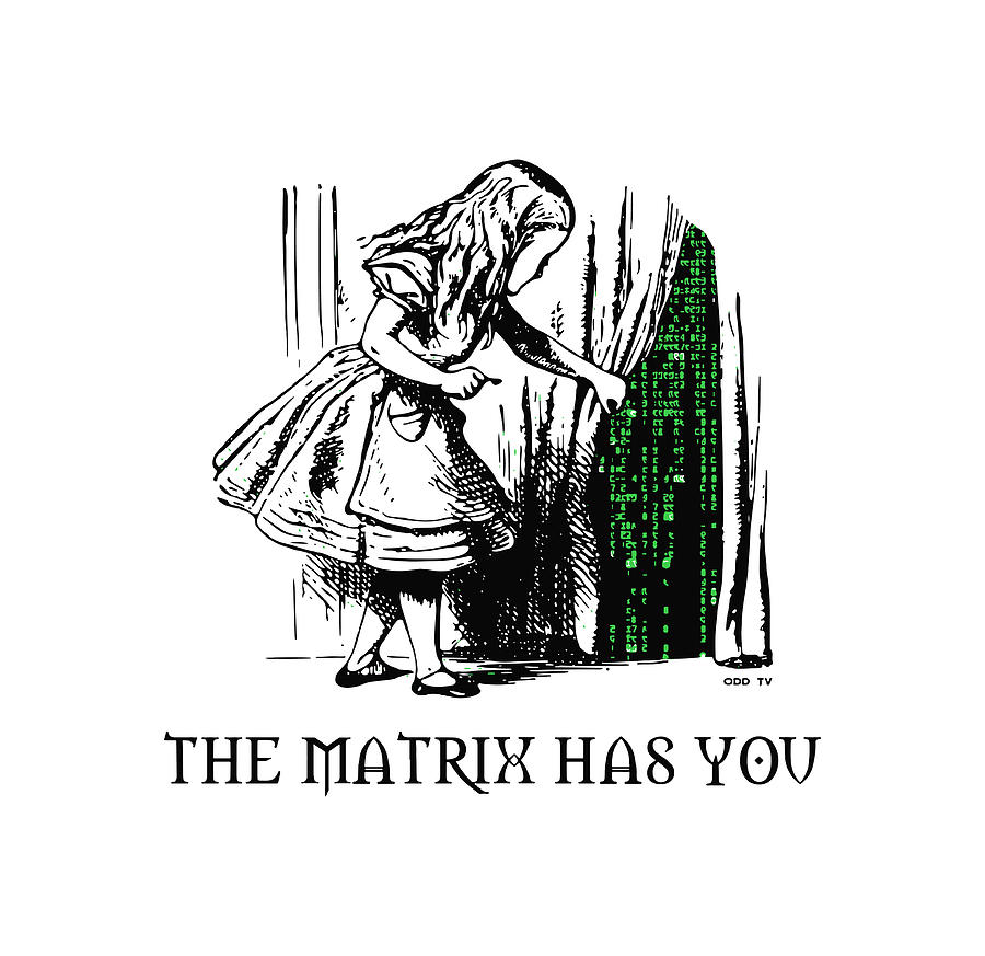 Alice The Matrix Has You Art by Missingno. | Download free STL model ...
