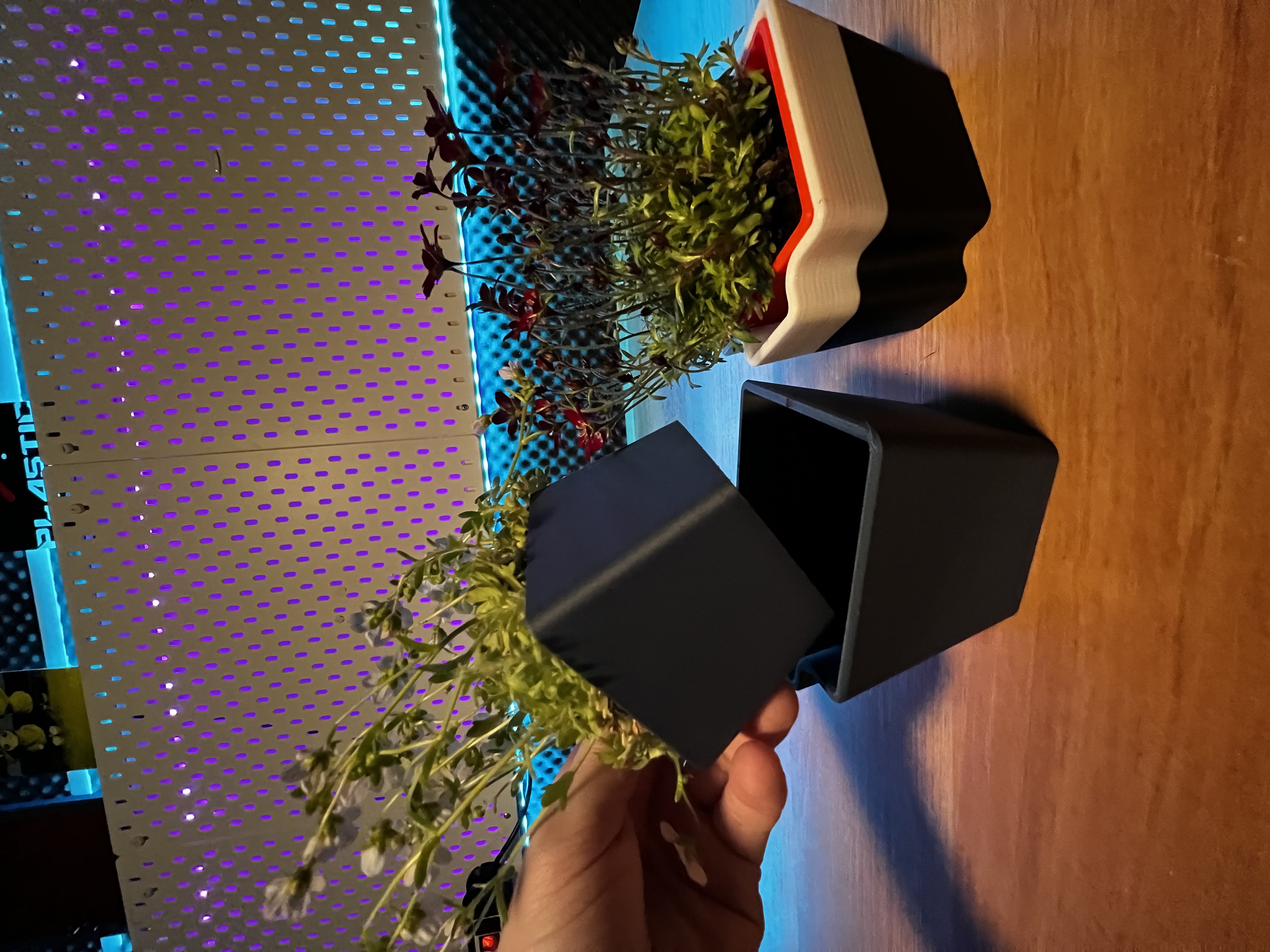 Miniatura 3 do modelo 3D Self Watering Planter 2