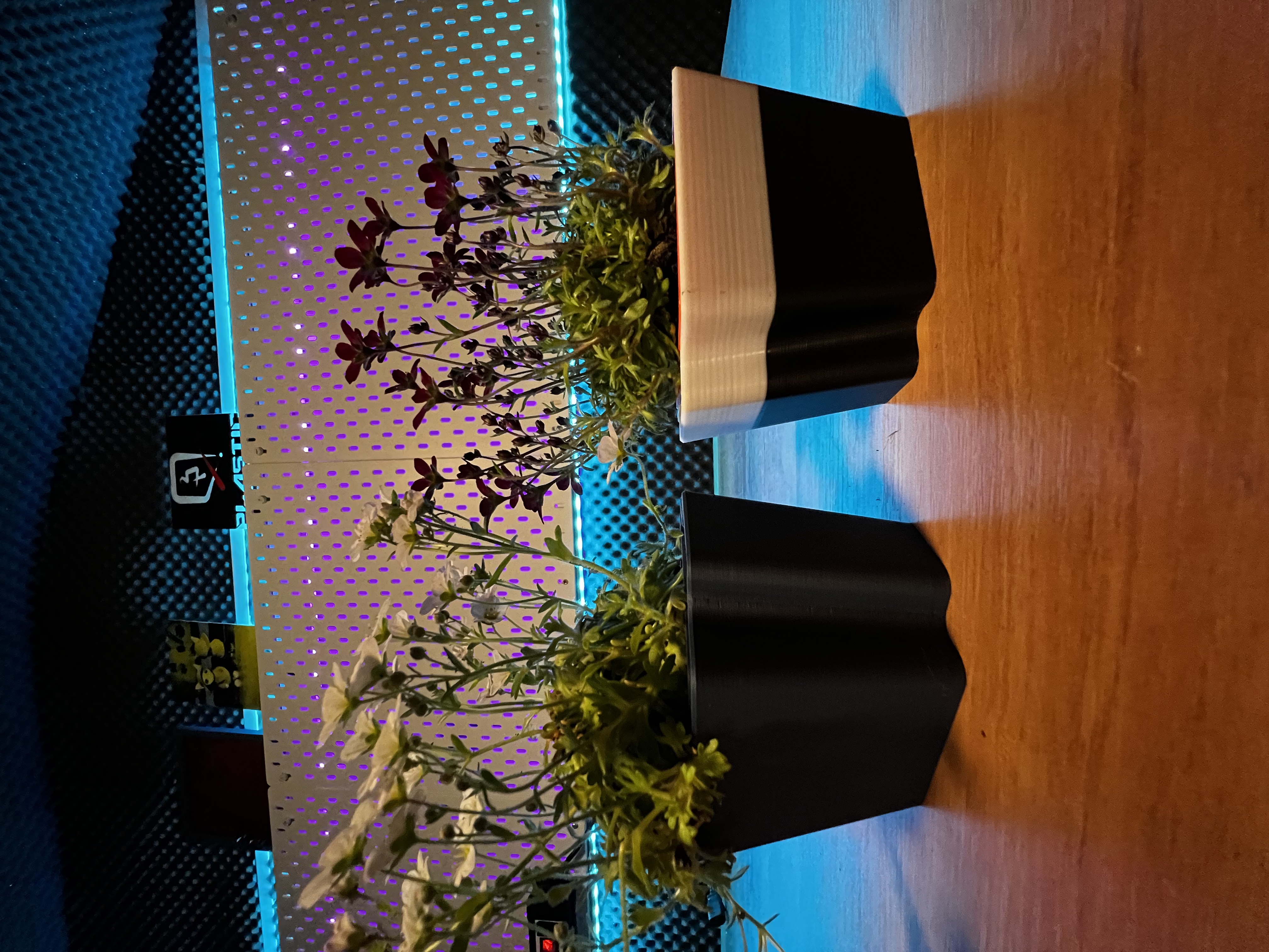 Miniatura 5 do modelo 3D Self Watering Planter 2