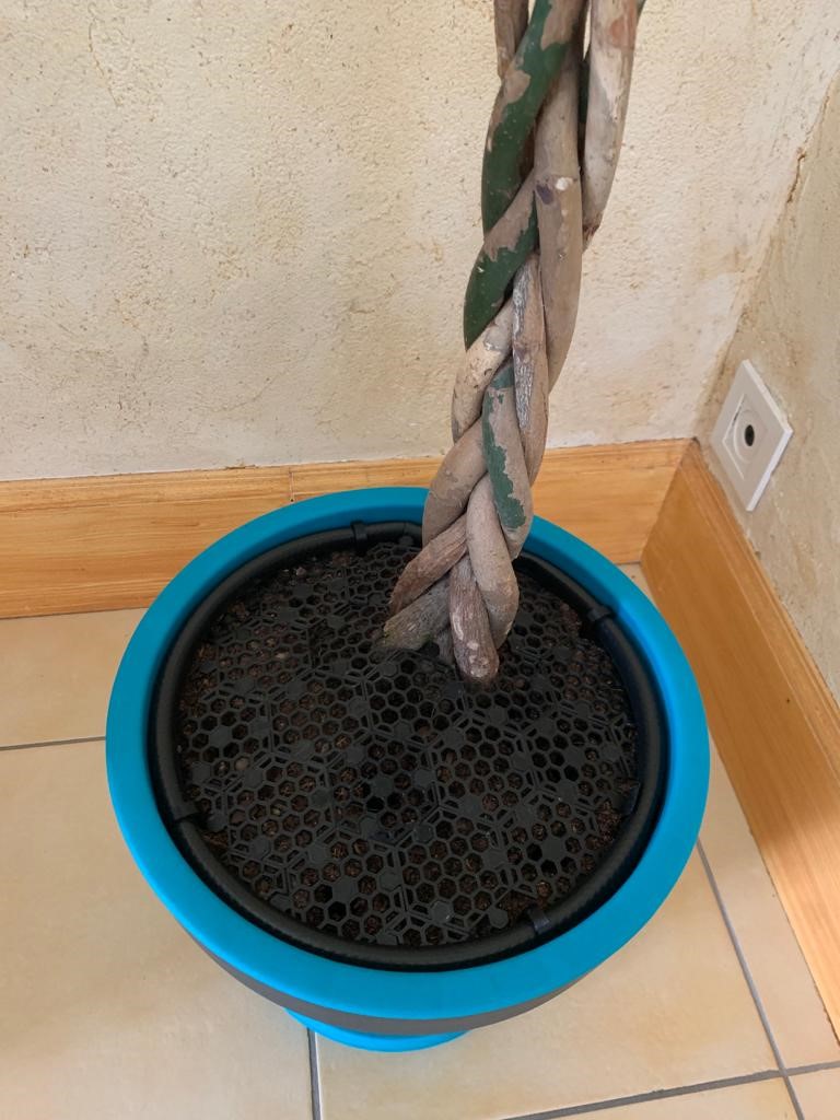 Vase soil protector against toddlers
