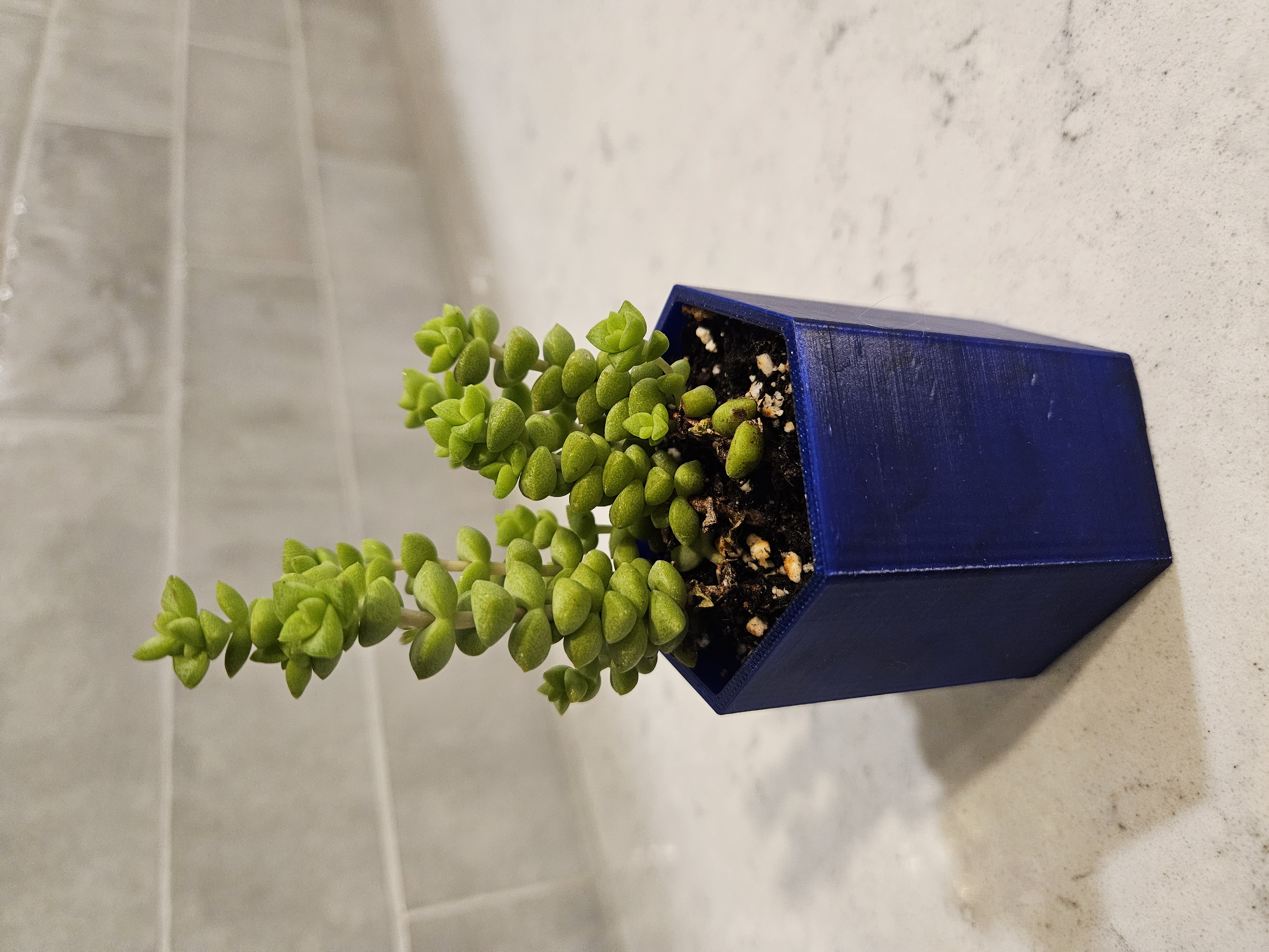 Miniatura 3 do modelo 3D Hexagonal Planter(Gerald Planter)