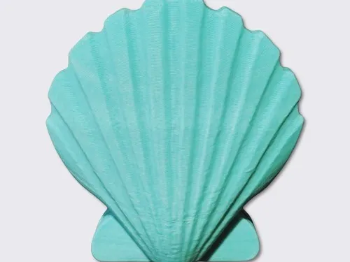 Seashell Towel Holder