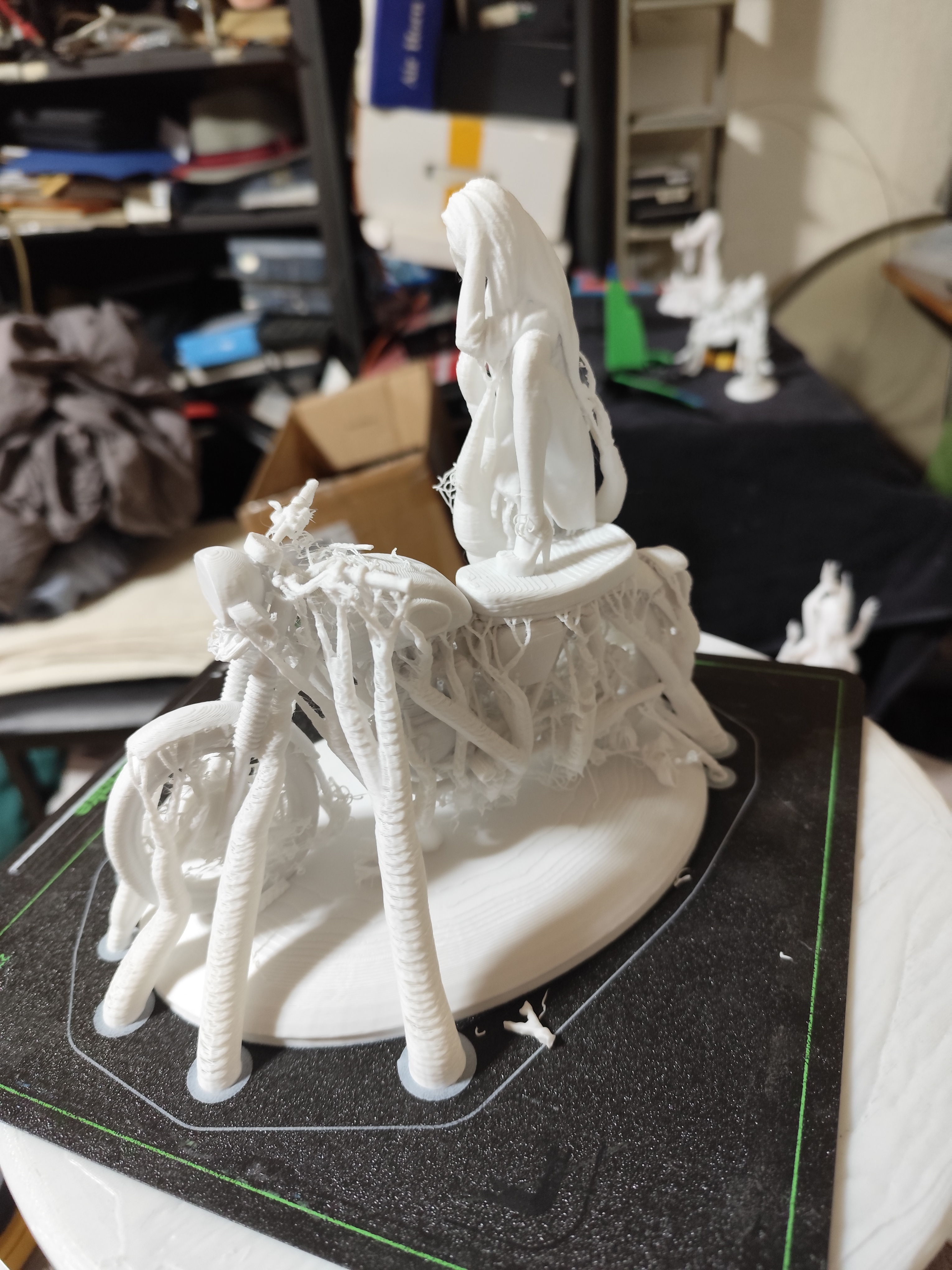 Biker Chick upgrade stronger wheels — miniatura 16