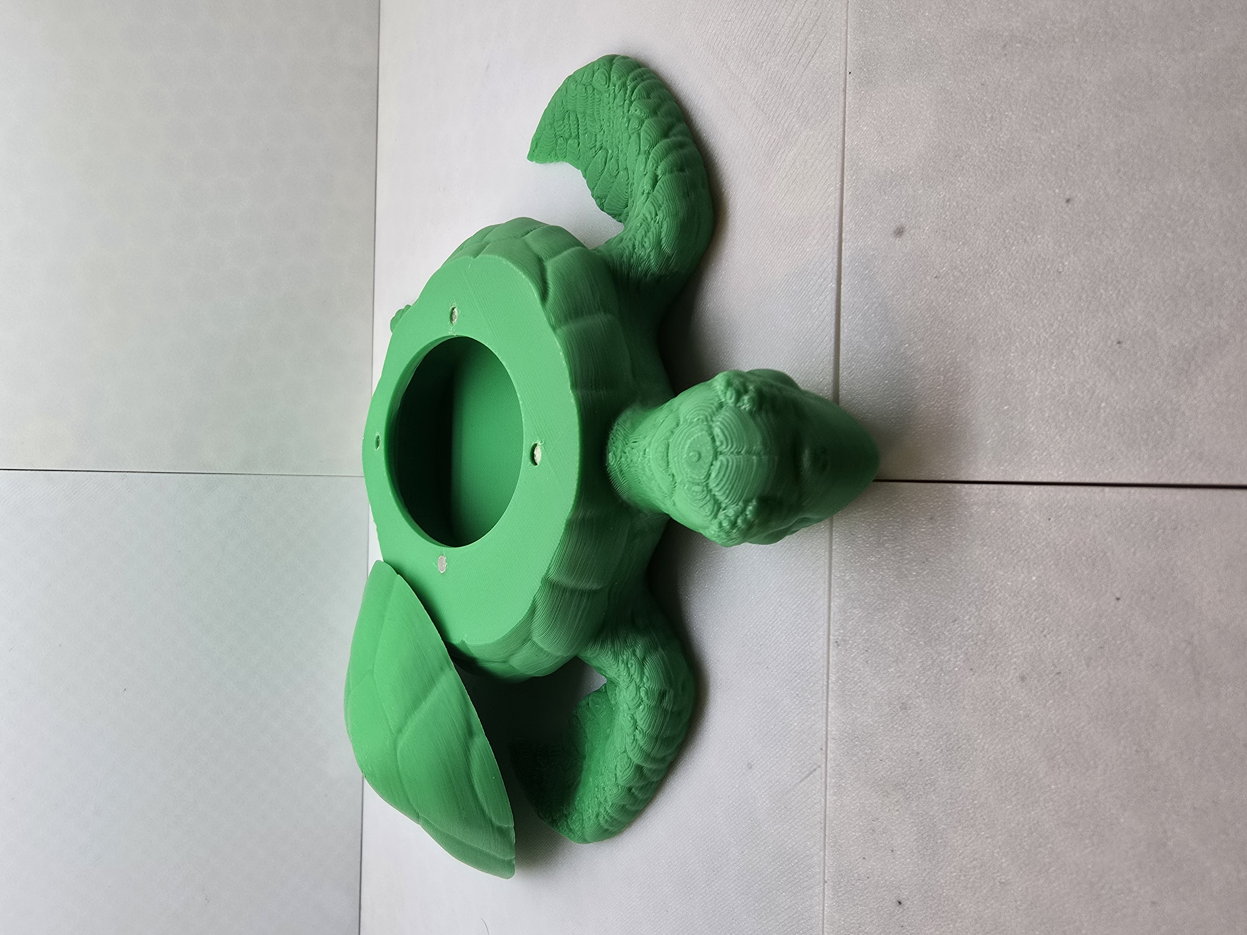Turtle Jewelry Box w magnetic top