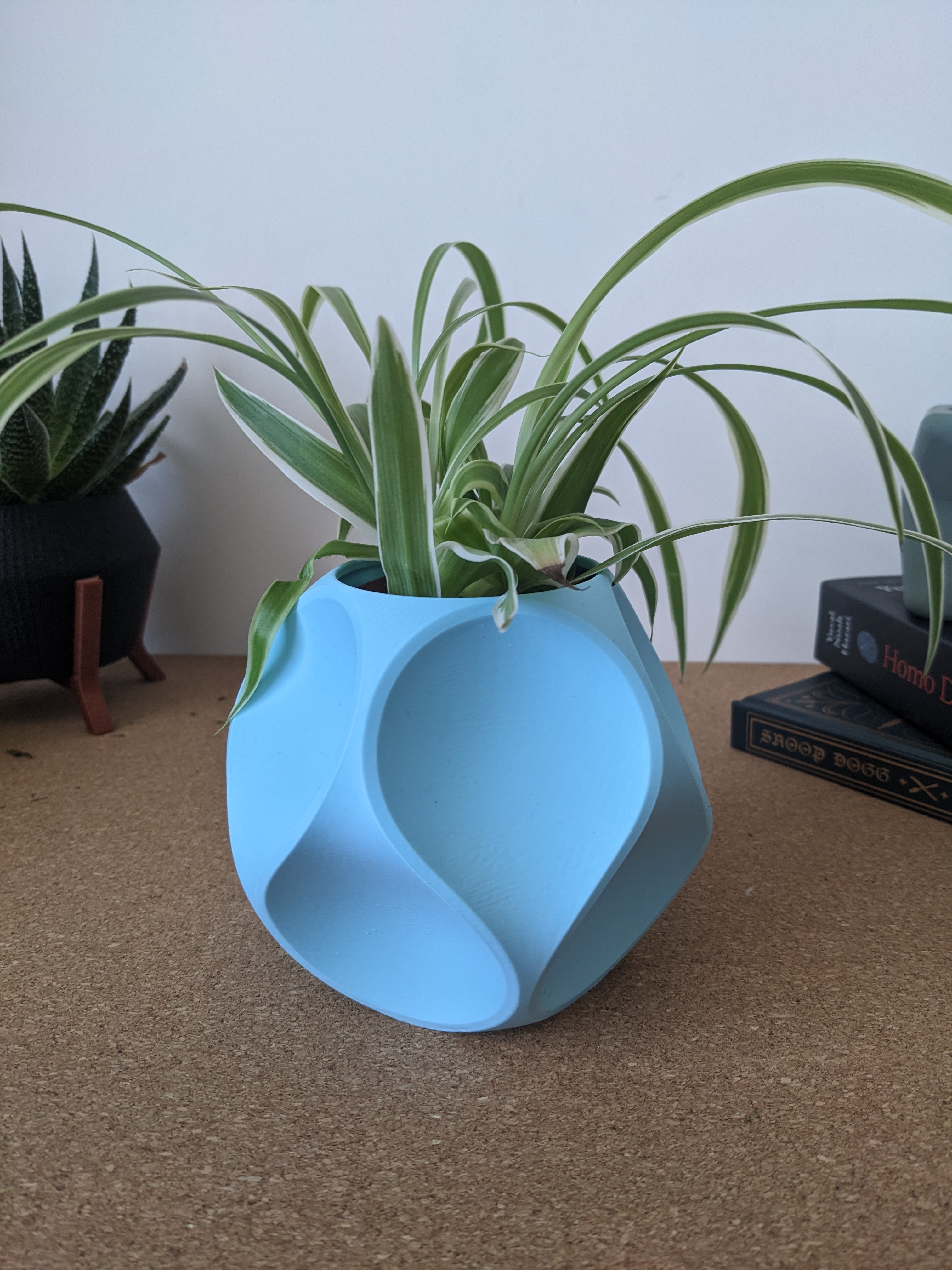 Dodecahedron Geometric Planter