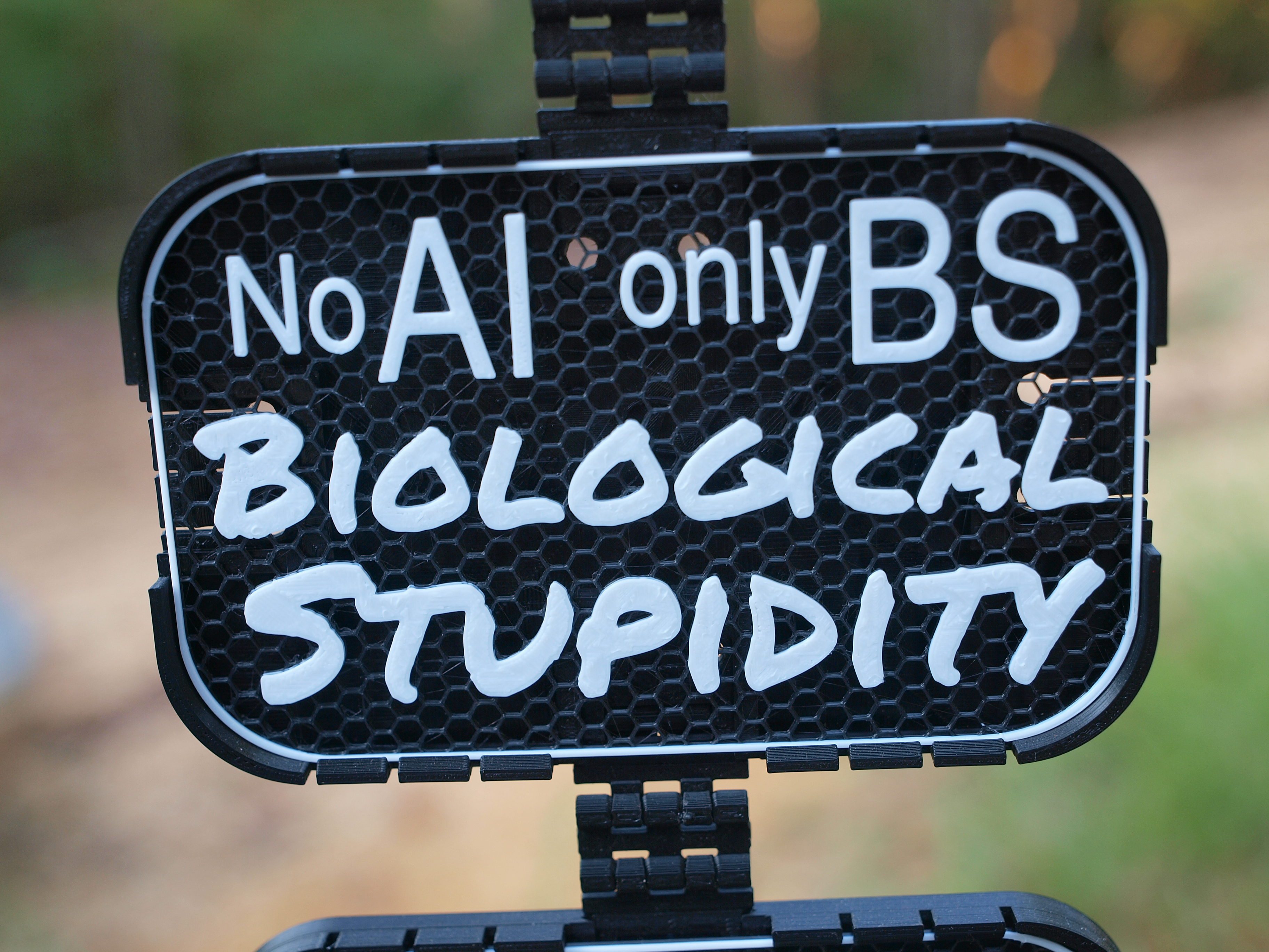 No AI, only BS sign