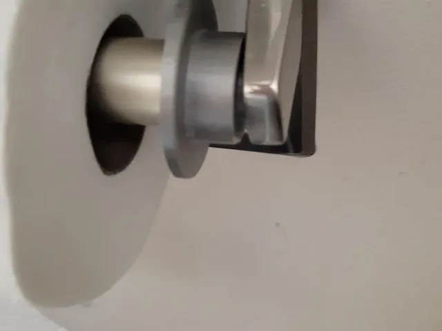 Toilet paper removal tool